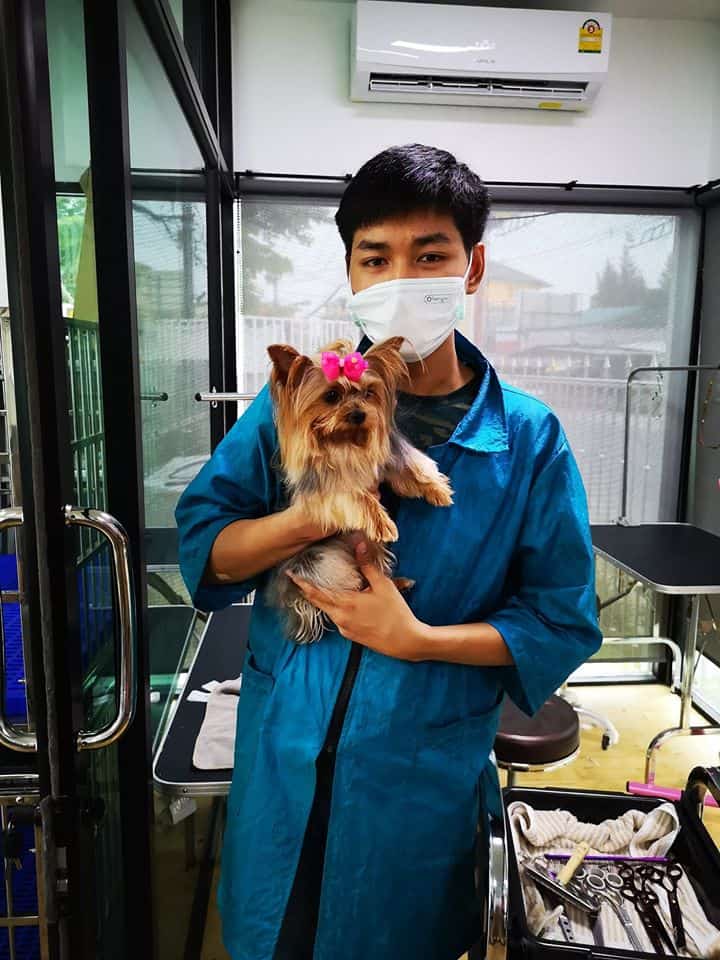 Hong Miao PetShop (ร้านโฮ่ง เหมียว เพ็ทช็อป) 3
