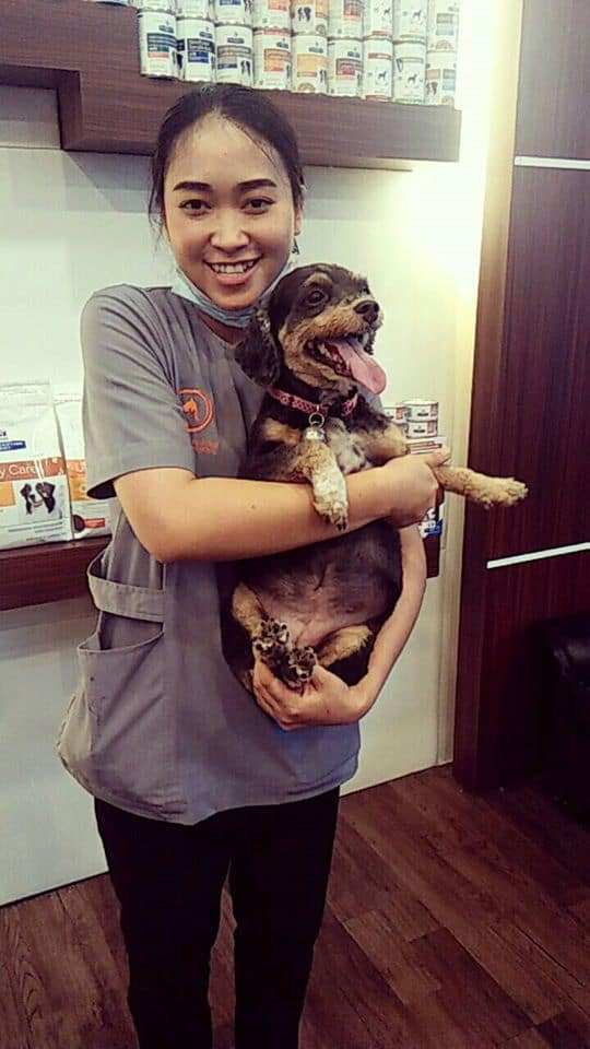 Dr.Raiwin Pet Hospital (โรงพยาบาลสัตว์ หมอไรวินท์) 9