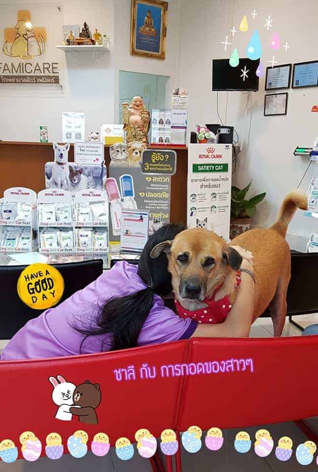 Famicare Pet Hospital (โรงพยาบาลสัตว์ แฟมิแคร์) 8