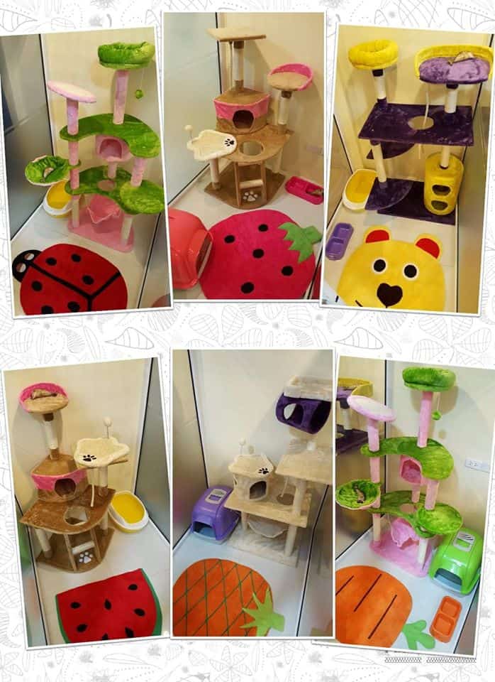 Grand Avenue Pet Hospital (โรงพยาบาลสัตว์แกรนด์อเวนิว) 6