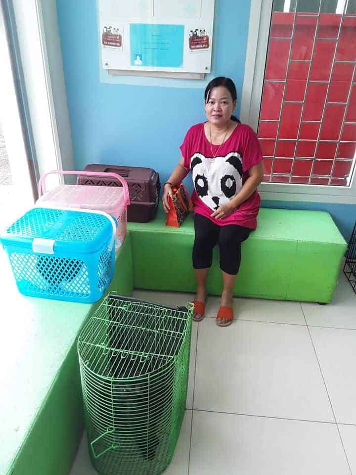 Pa Mari Animal's Health Center (ศูนย์สุขภาพสัตว์ พามาริ) 7