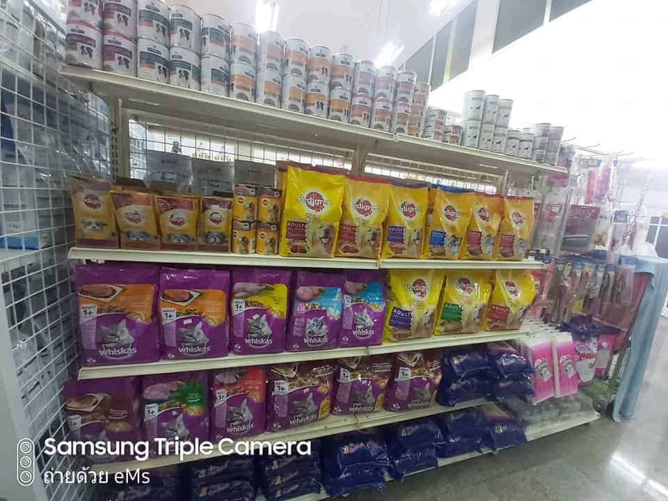 โรงพยาบาลสัตว์โชคชัย4 2