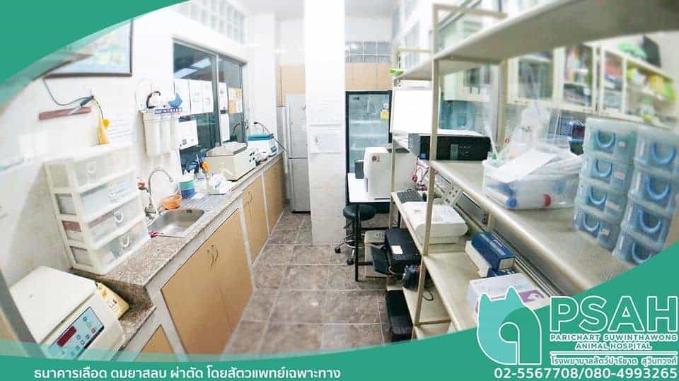 Parichart Suwinthawong Animal Hospital (โรงพยาบาลสัตว์ปาริชาต สุวินทวงศ์) 7
