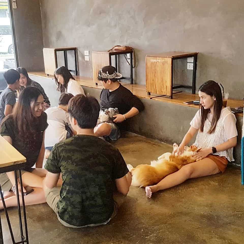 HongHong Cafe (โฮ่งโฮ่งคาเฟ่) 1