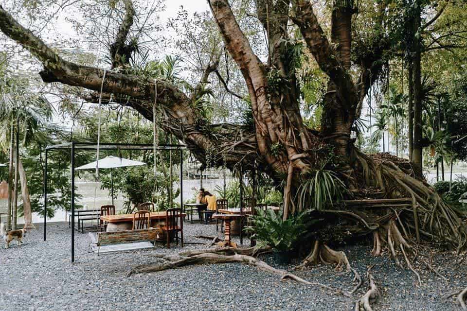 Prem Cafe In the Garden (ปทุมธานี) 9