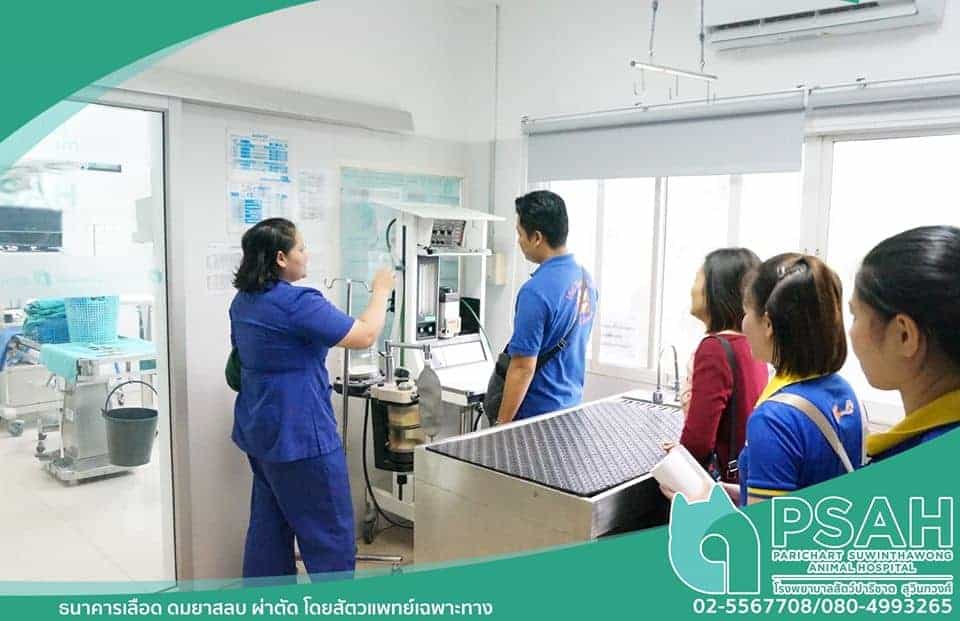 Parichart Suwinthawong Animal Hospital (โรงพยาบาลสัตว์ปาริชาต สุวินทวงศ์) 8