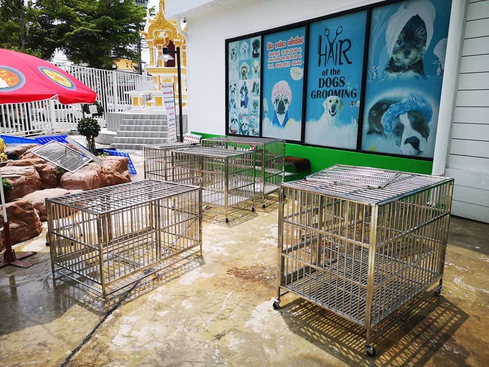 Hong Miao PetShop (ร้านโฮ่ง เหมียว เพ็ทช็อป) 7