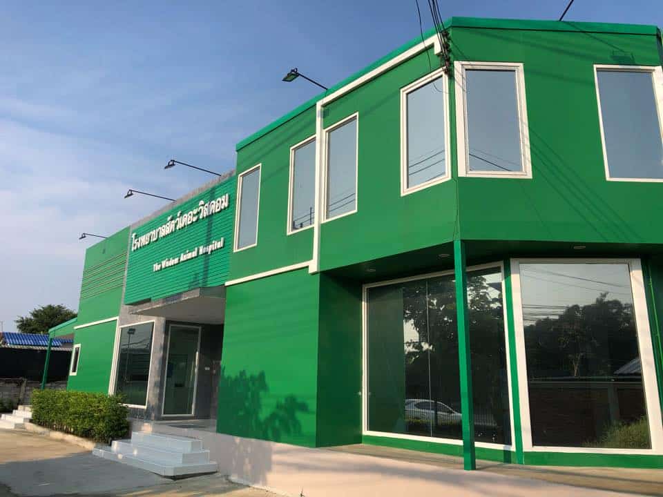 โรงพยาบาลสัตว์เดอะวิสดอม The Wisdom Animal Hospital 2