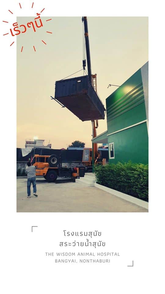 โรงพยาบาลสัตว์เดอะวิสดอม The Wisdom Animal Hospital 3