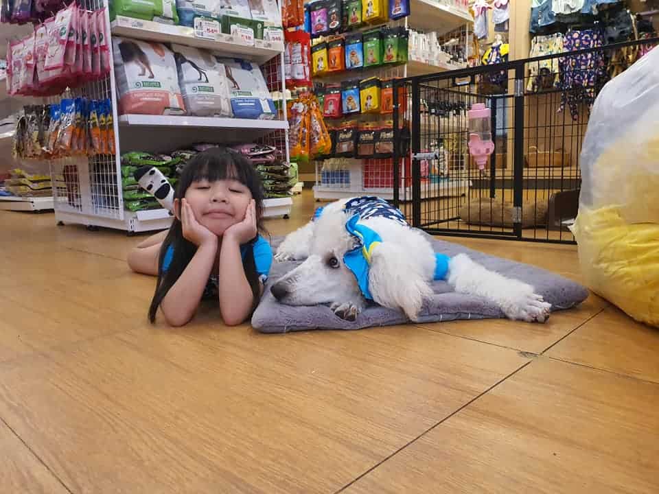 Pets Premium Shop (สาขาใหญ่) 4