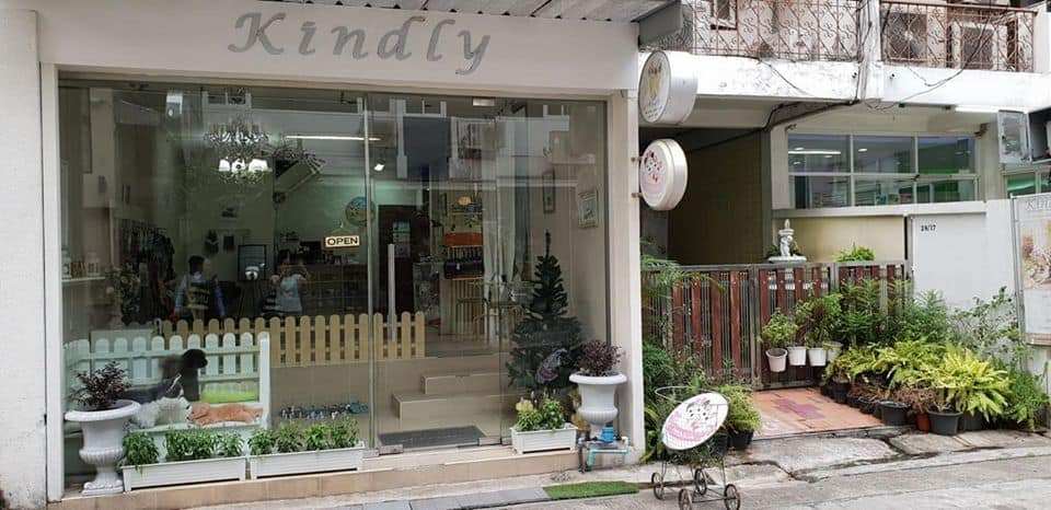 Kindly pet salon . hotel . cafe (สุขุมวิท 19) 2