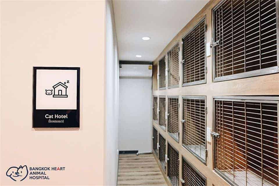 โรงพยาบาลสัตว์บางกอกฮาร์ท Bangkok Heart Animal Hospital 3