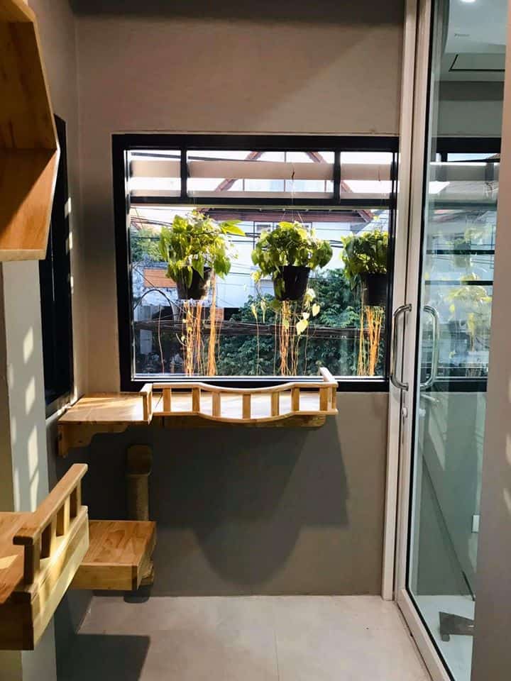 Nhamaew Cat Hotel (โรงแรมแมว หน้าแมว) 2