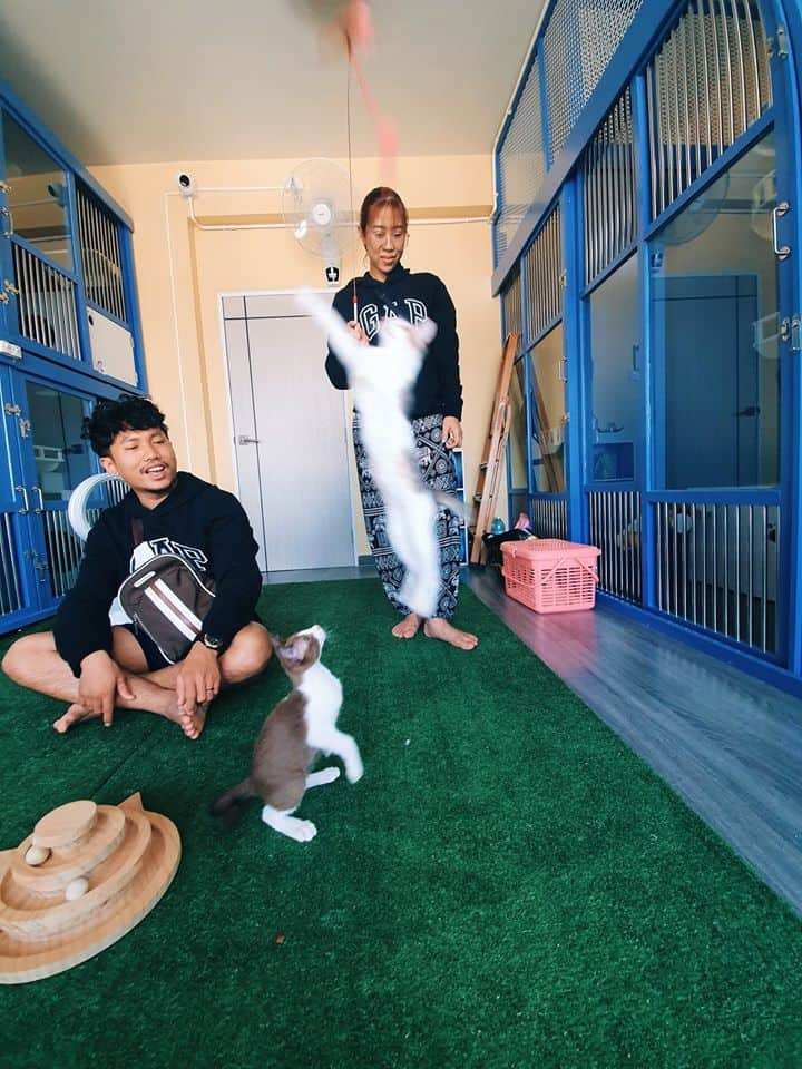 Harlem CatHotel (ฮาเร็ม แคทโฮเทล) 6