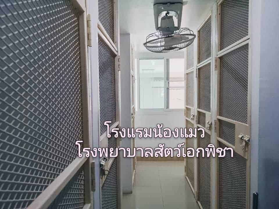โรงพยาบาลสัตว์เอกพิชา (Eakpicha Pet Hotpital) 4
