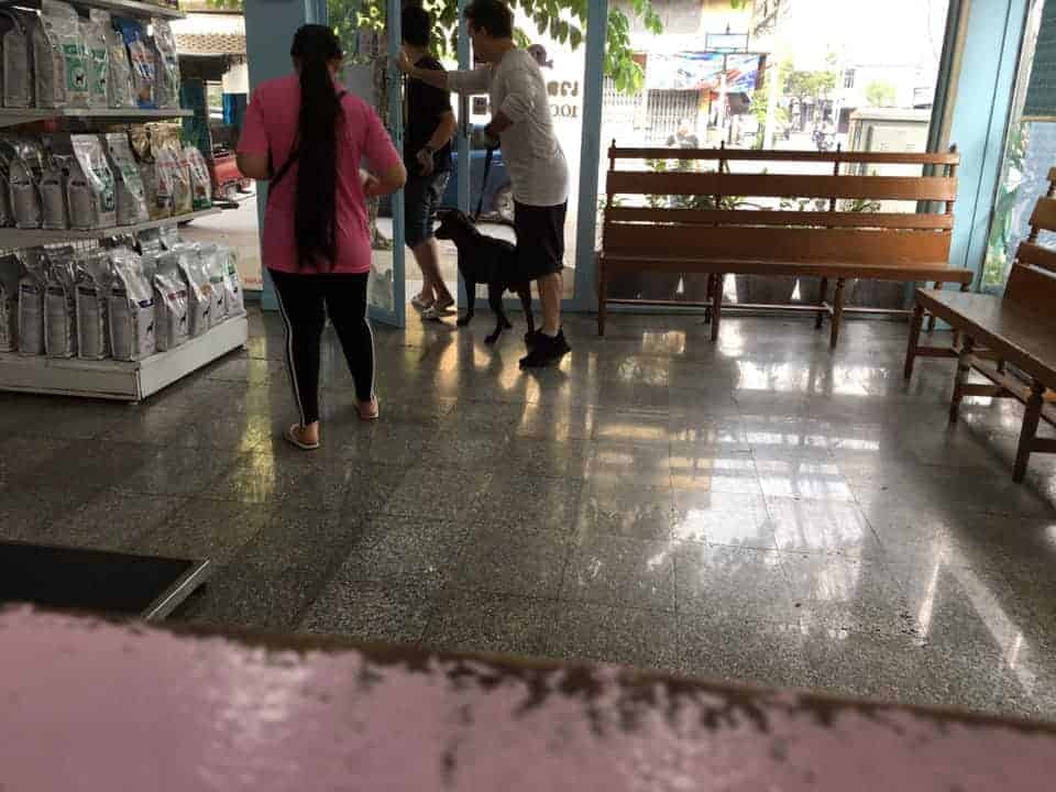 โรงพยาบาลสัตว์โชคชัย4 3