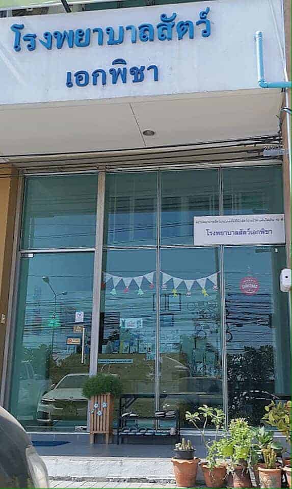 โรงพยาบาลสัตว์เอกพิชา (Eakpicha Pet Hotpital) 6