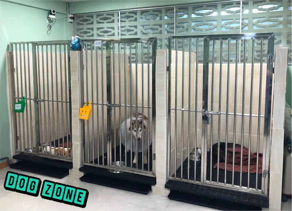 โรงพยาบาลสัตว์อิ่มสุข Imsook Animal Hospital 2