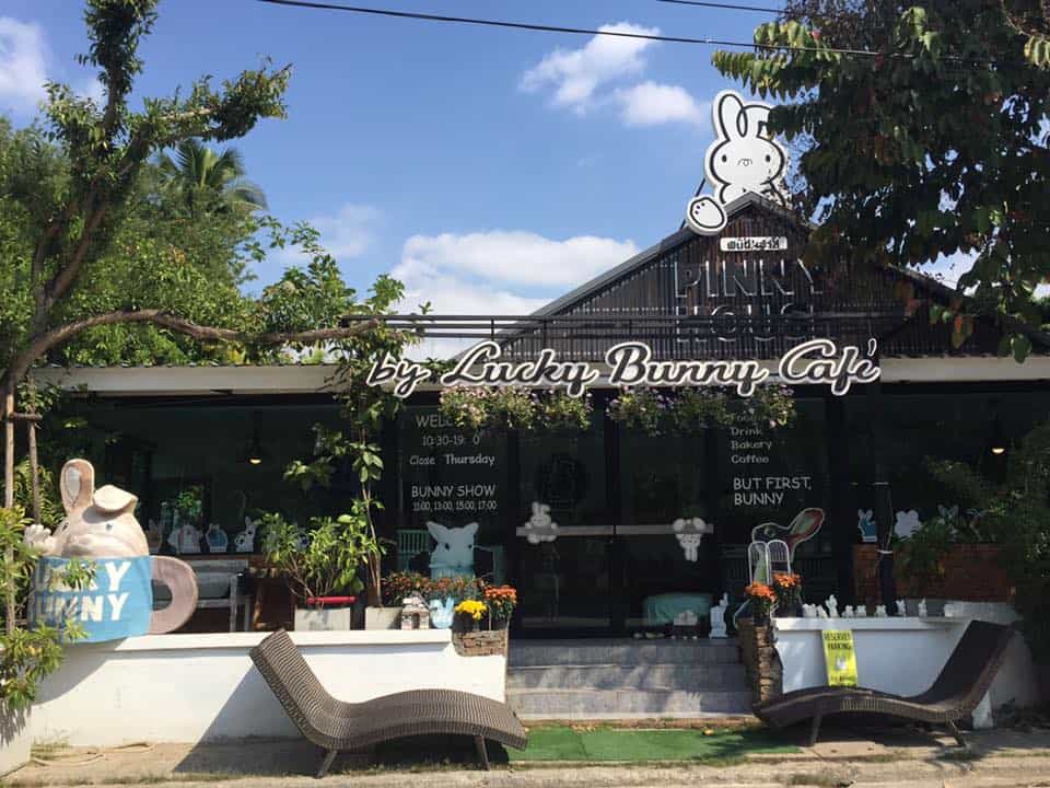 Pinny House by Lucky Bunny Cafe (เชียงใหม่) 7