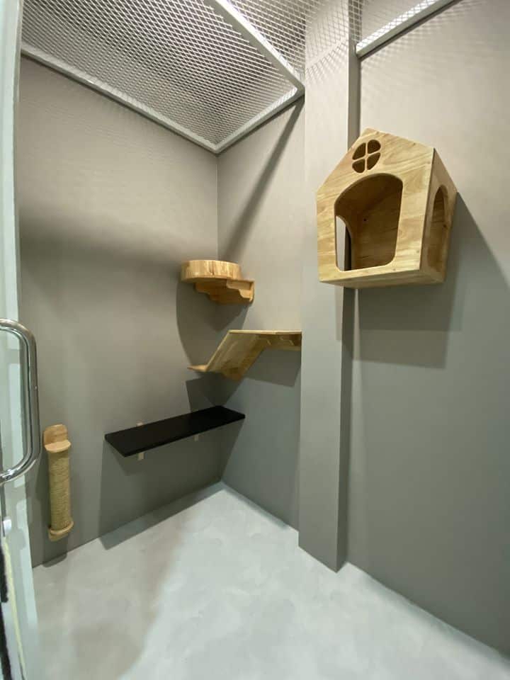 Nhamaew Cat Hotel (โรงแรมแมว หน้าแมว) 3
