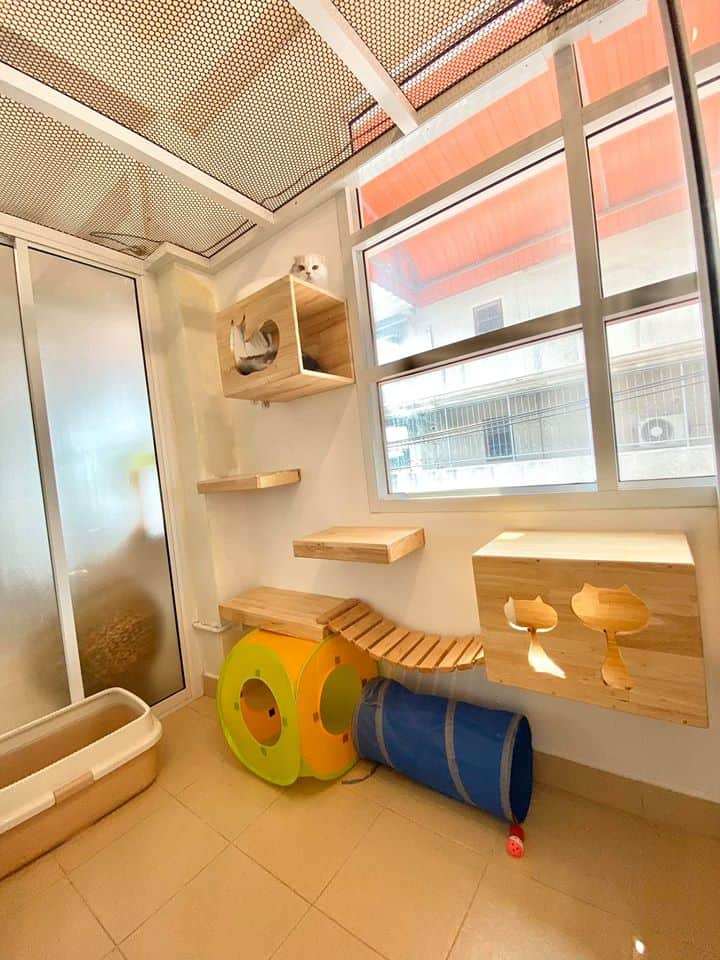 CAT PAW INN (Cat Hotel) 5