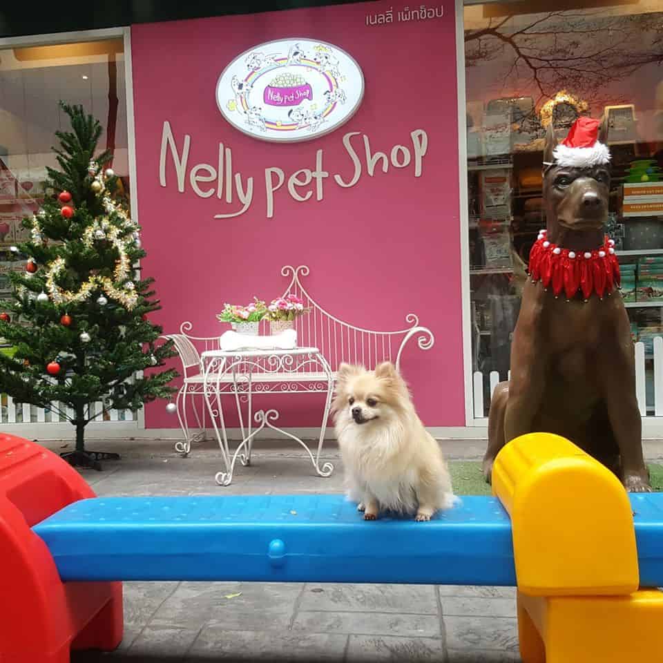 Nelly Pet Shop (แจ้งวัฒนะ) 3