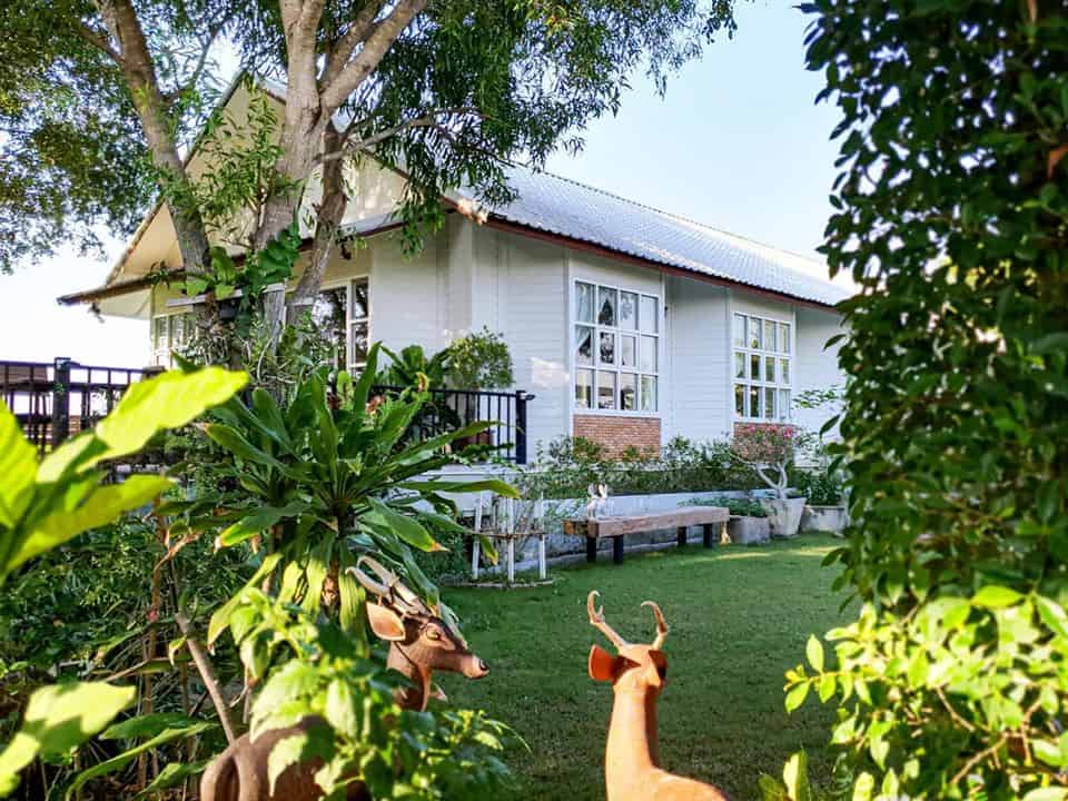 The Kottage Cafe (ลาดหลุมแก้ว) 4