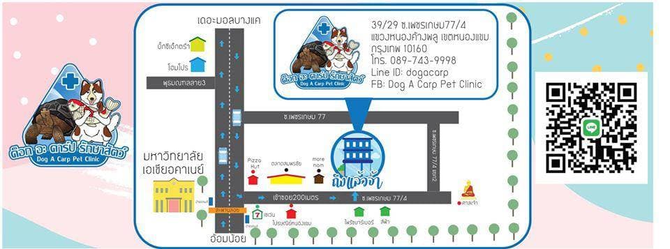 Dog A Carp Pet Clinic (หนองแขม) 2