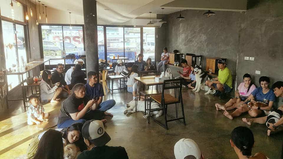 HongHong Cafe (โฮ่งโฮ่งคาเฟ่) 3