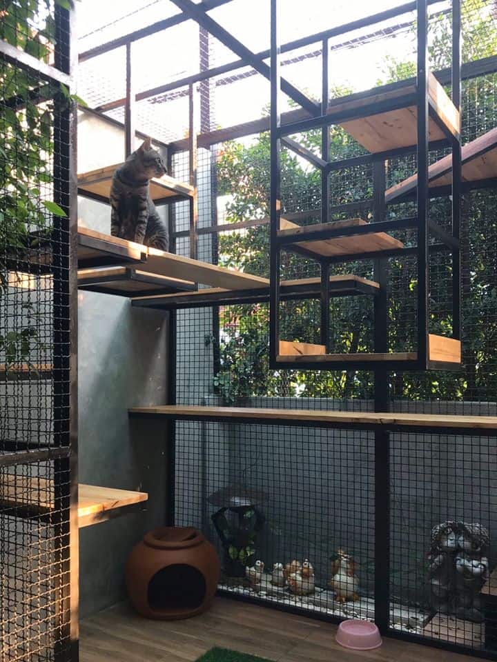 Nhamaew Cat Hotel (โรงแรมแมว หน้าแมว) 6
