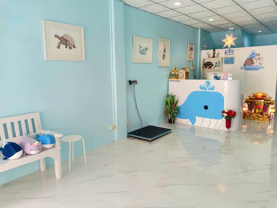 Dog A Carp Pet Clinic (หนองแขม) 6