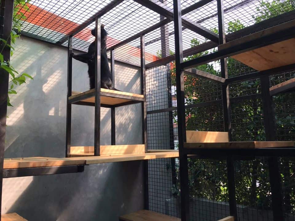 Nhamaew Cat Hotel (โรงแรมแมว หน้าแมว) 7