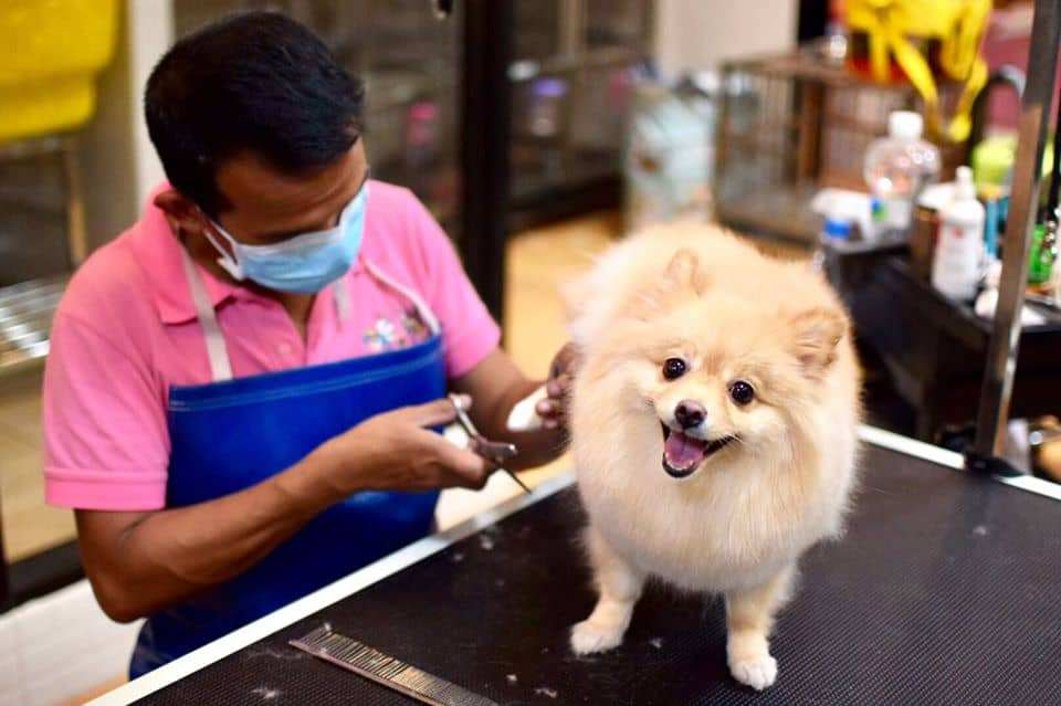 Pets Premium Shop (สาขาใหญ่) 6