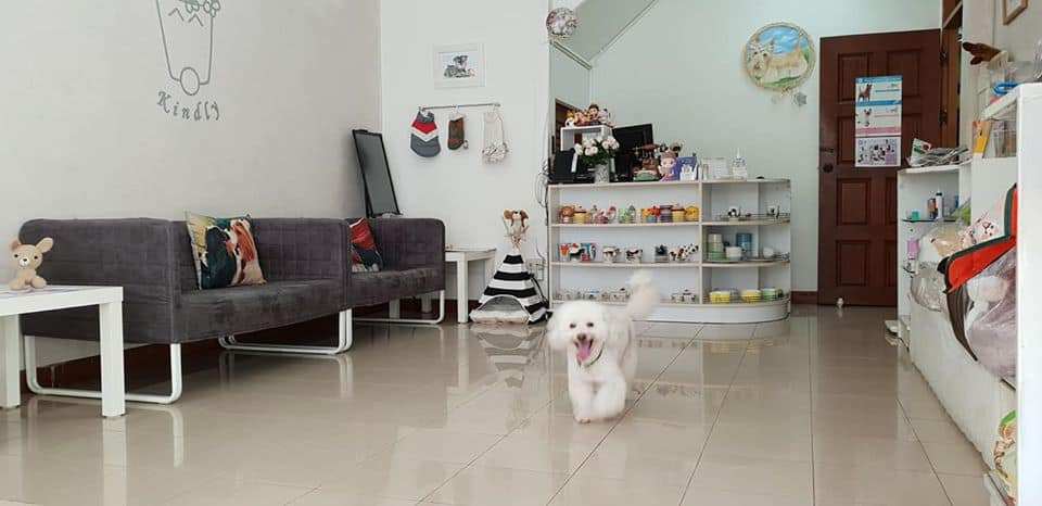 Kindly pet salon . hotel . cafe (สุขุมวิท 19) 5