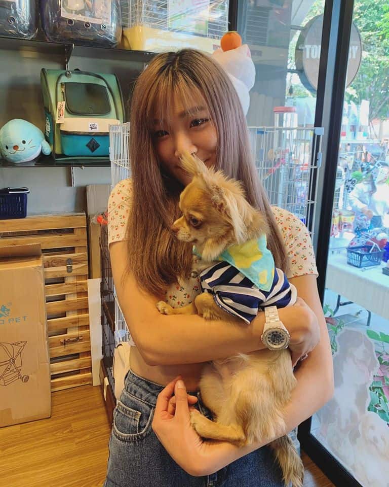 Tomjerrypetshop (ราชพฤกษ์) 1