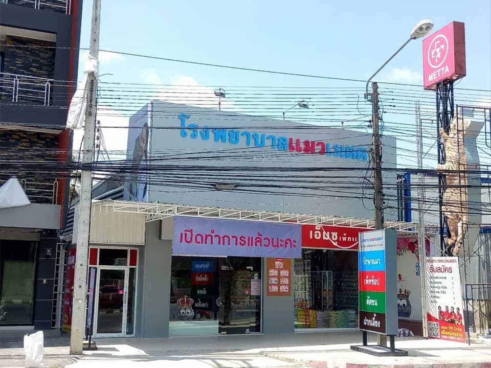 โรงพยาบาลแมวเมตตา (หาดใหญ่) 2