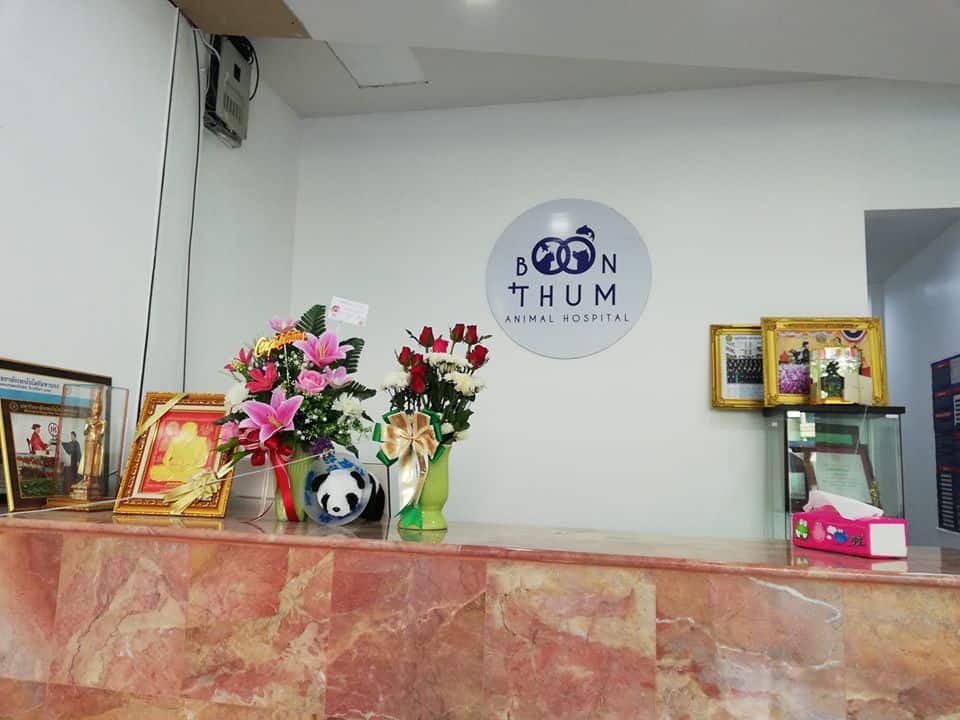 Boonthum Animal Hospital (โรงพยาบาลสัตว์บุญธรรม) 1