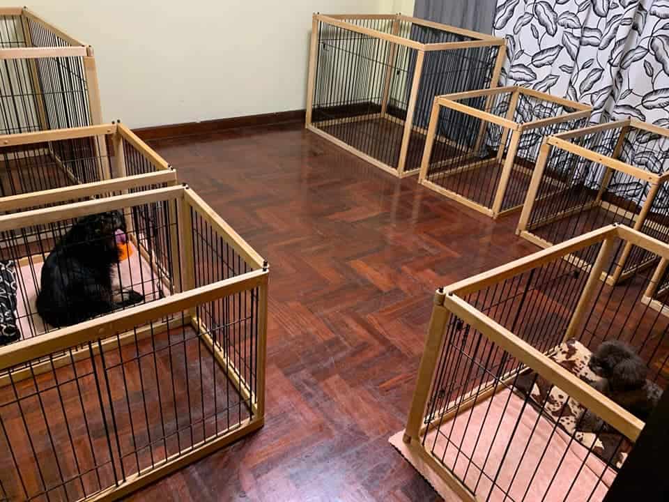 Kindly pet salon . hotel . cafe (สุขุมวิท 19) 9