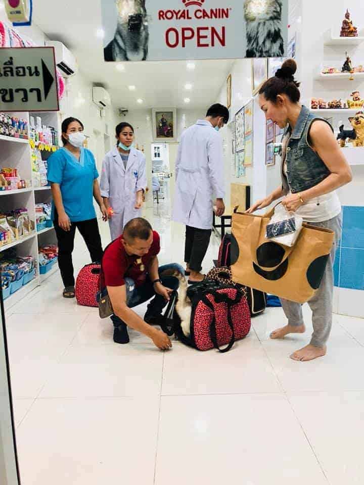 NKR VET Hospital (โรงพยาบาลสัตว์นครเวช) 6