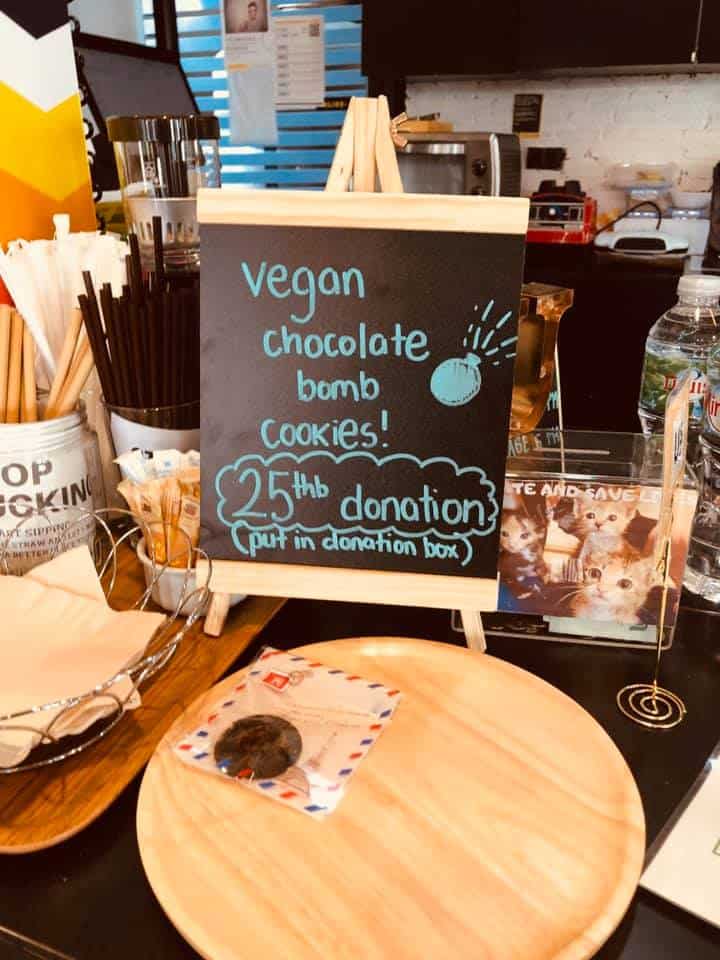 The Adoptable Puppy Cafe (คาเฟ่น้องหมาหาบ้าน) 5