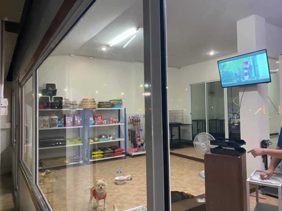 คลินิกบางวัวรักษาสัตว์ (ฉะเชิงเทรา) 1