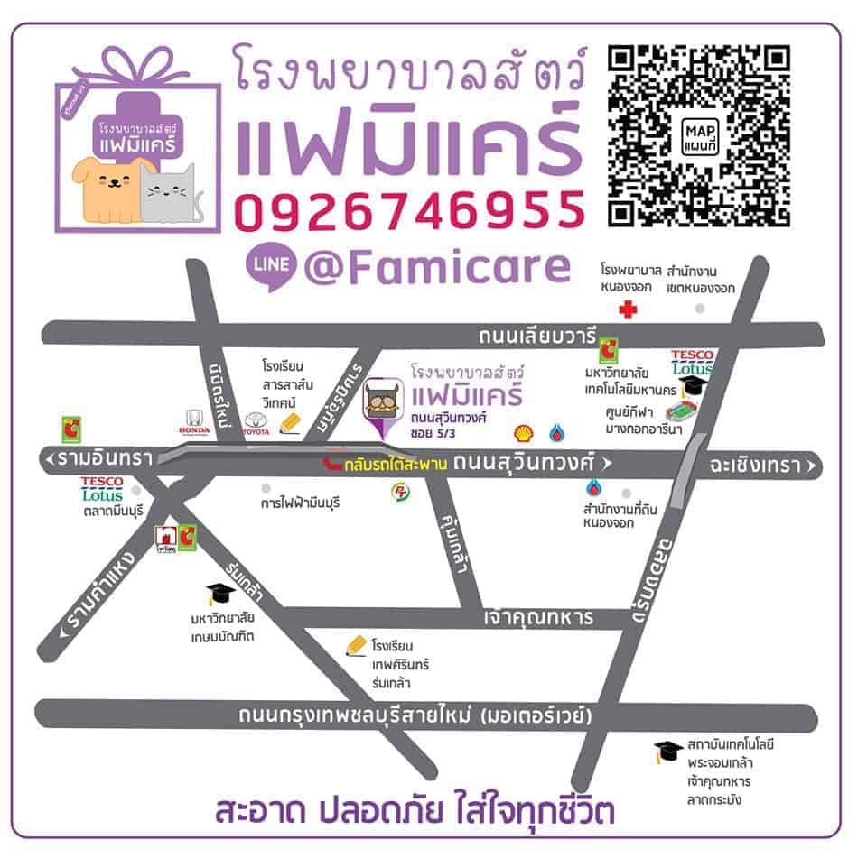Famicare Pet Hospital (โรงพยาบาลสัตว์ แฟมิแคร์) 9
