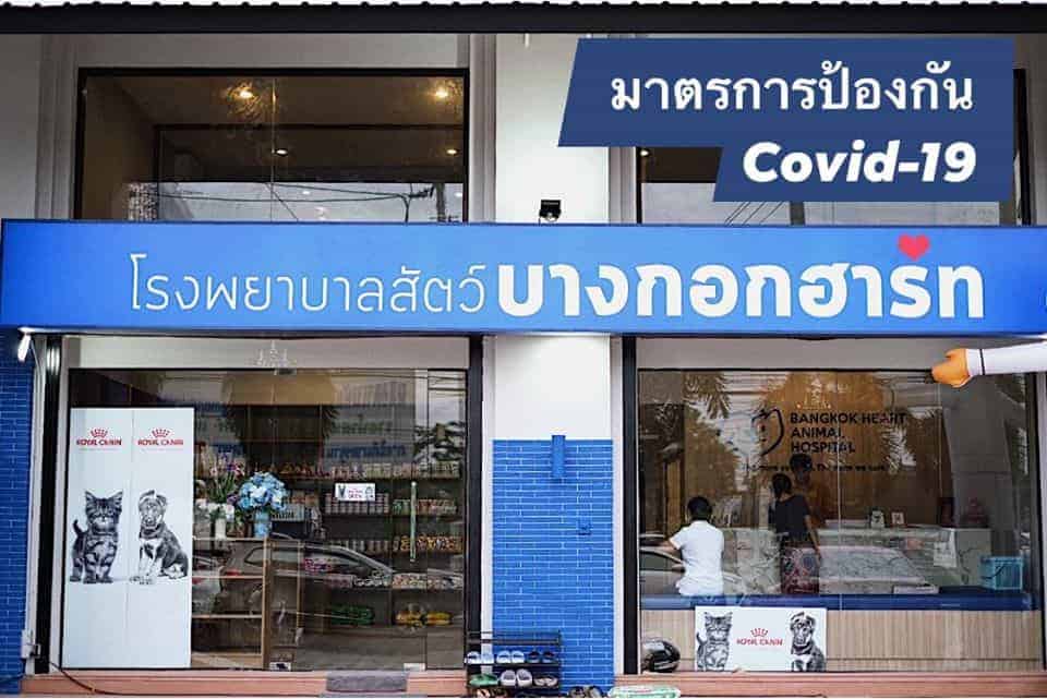 โรงพยาบาลสัตว์บางกอกฮาร์ท Bangkok Heart Animal Hospital 5