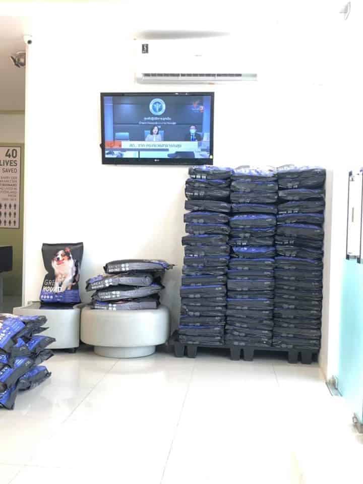 โรงพยาบาลสัตว์เดอะวิสดอม The Wisdom Animal Hospital 8