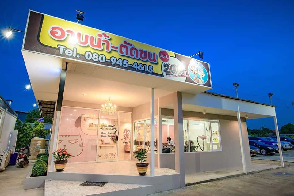 Buddy Grooming Spa (บัดดี้กรูมมิ่ง สปา) 6