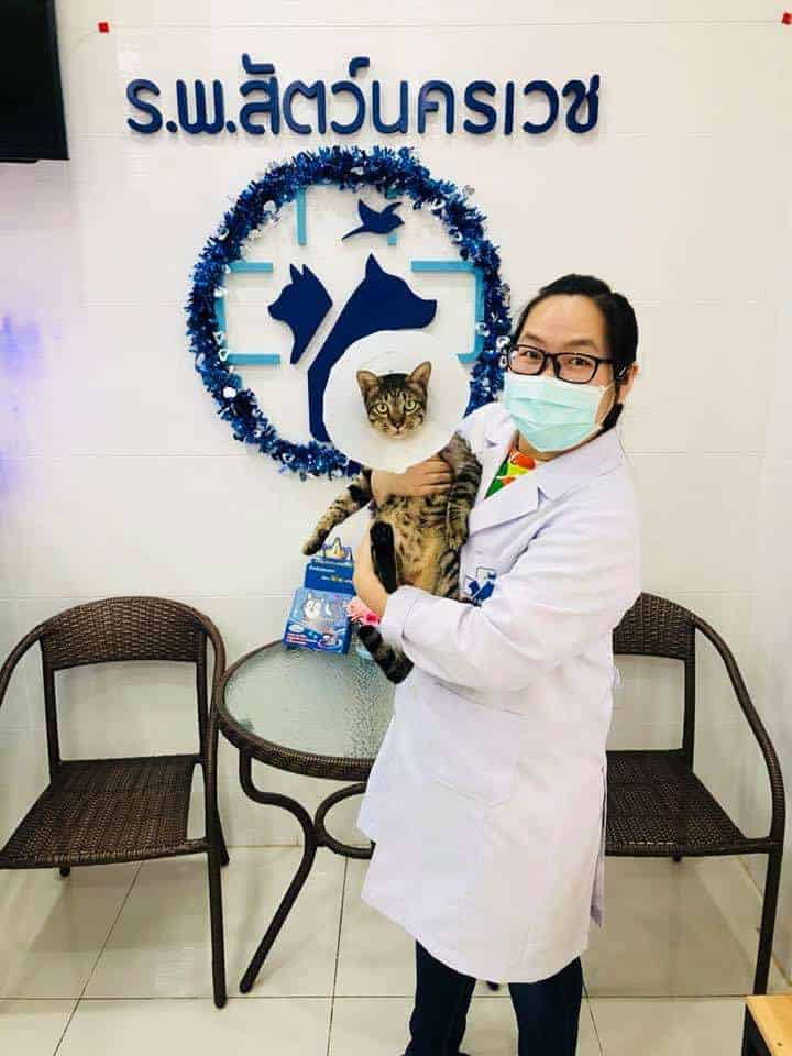 NKR VET Hospital (โรงพยาบาลสัตว์นครเวช) 7