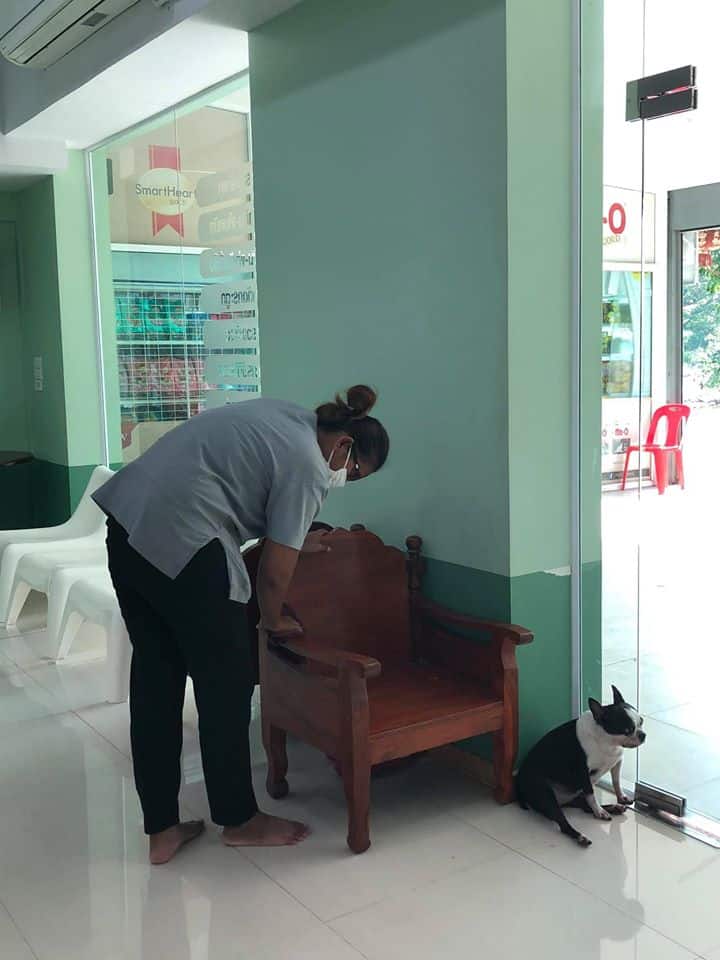 โรงพยาบาลสัตว์อิ่มสุข Imsook Animal Hospital 4