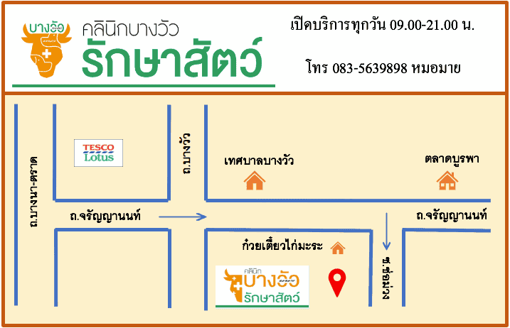 คลินิกบางวัวรักษาสัตว์ (ฉะเชิงเทรา) 3