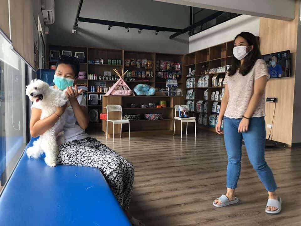 โรงพยาบาลสัตว์บางกอกฮาร์ท Bangkok Heart Animal Hospital 6