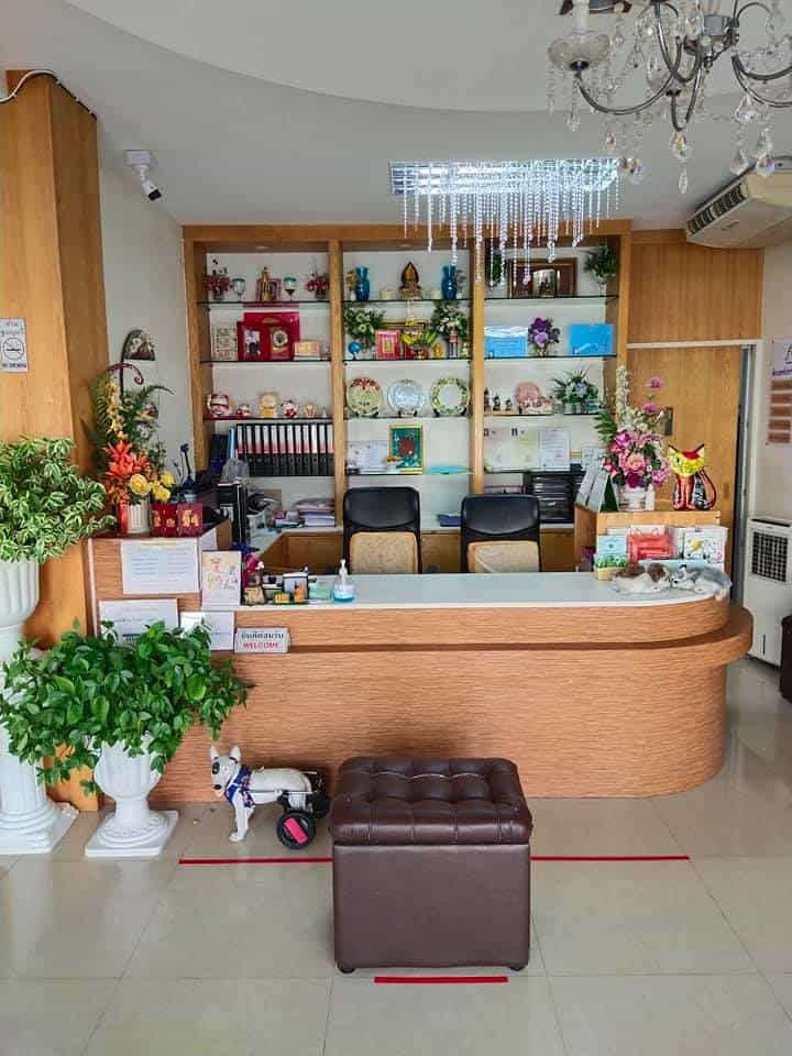 โรงพยาบาลสัตว์เพิ่มสิน Permsin Vet Hospital 5